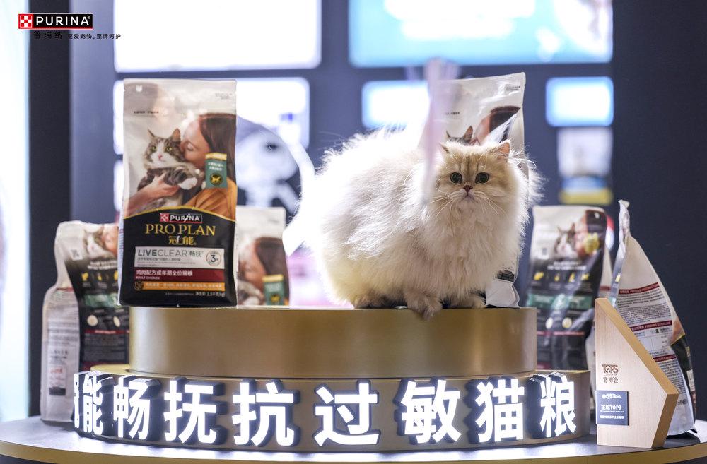 能携宠物全生命周期健康解决方案闪耀它博会不朽情缘电子游戏网址科学营养、一生免疫冠(图2)