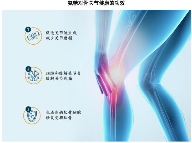 团:扎根运动健康赛道凭多元布局赢长远未来不朽情缘游戏网站址HMB全球龙头技源集(图3) 团:扎根运动健康赛道凭多元布局赢长远未来不朽情缘游戏网站址HMB全球龙头技源集(图3)