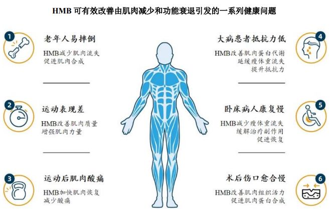 团:扎根运动健康赛道凭多元布局赢长远未来不朽情缘游戏网站址HMB全球龙头技源集(图7) 团:扎根运动健康赛道凭多元布局赢长远未来不朽情缘游戏网站址HMB全球龙头技源集(图7)