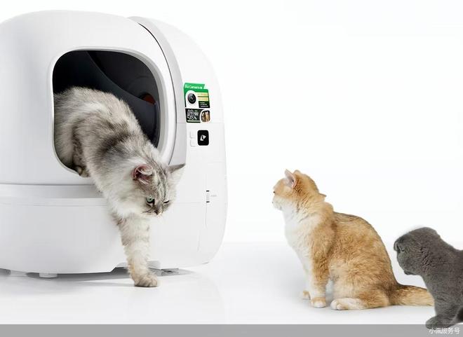 长 宠物经济迎来国产品牌爆发mg不朽情缘